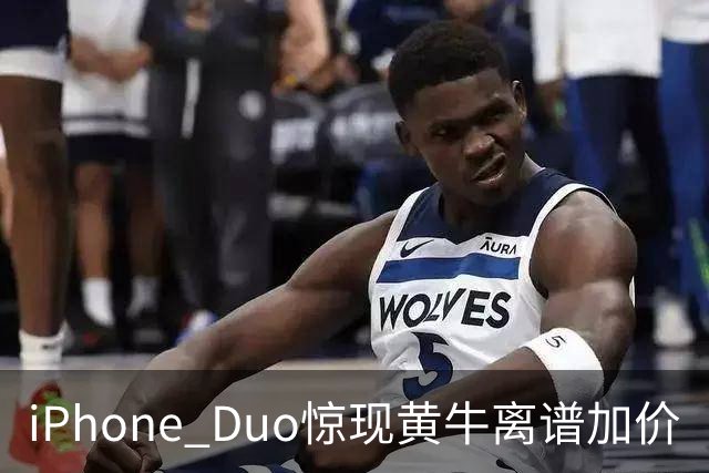 iPhone Duo惊现黄牛离谱加价